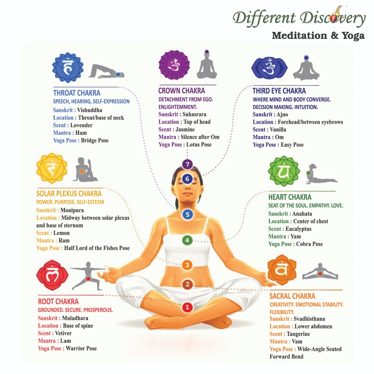 Meditation & Yoga